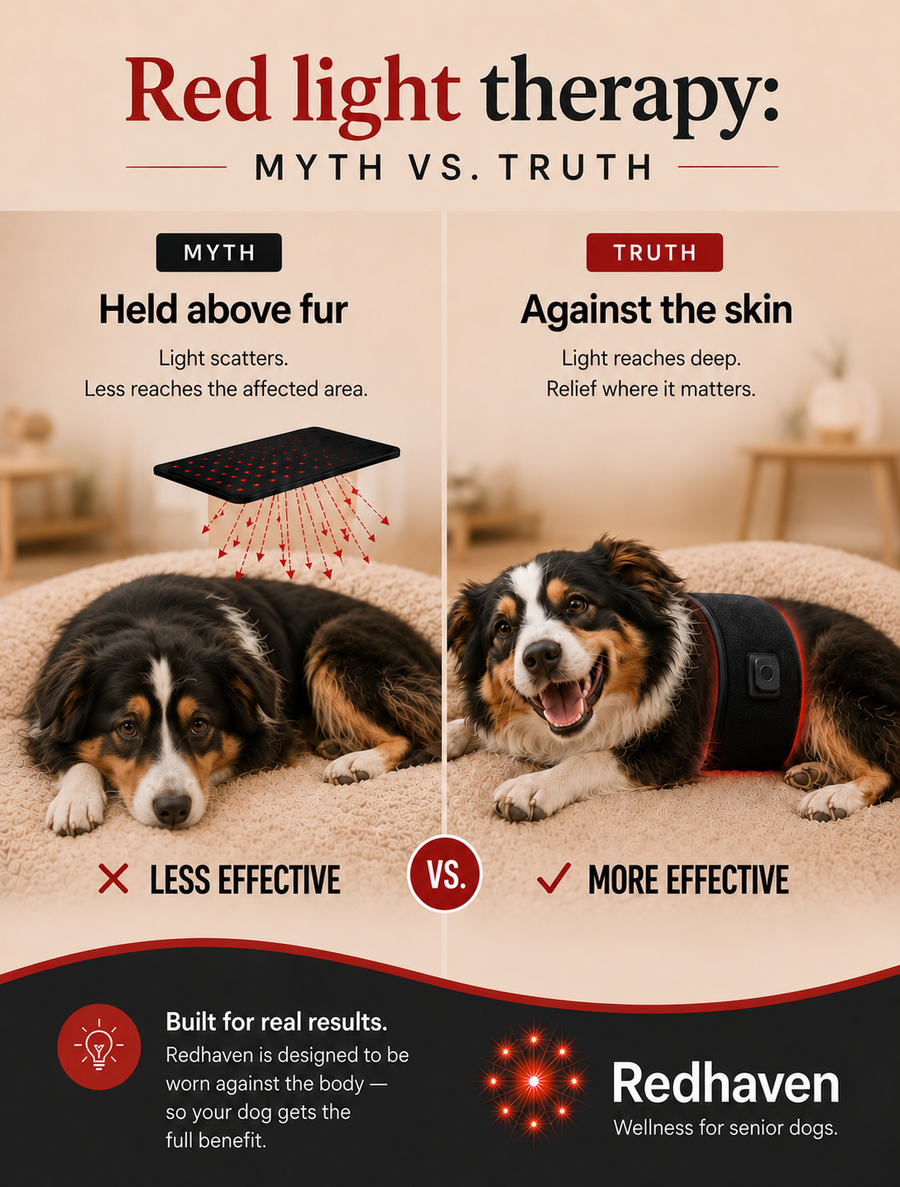 Fur barrier diagram showing light scatter vs skin-contact delivery